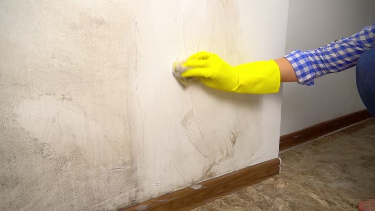 Asbestos and Lead Testing During Mold Inspection in Middlesborough, KY